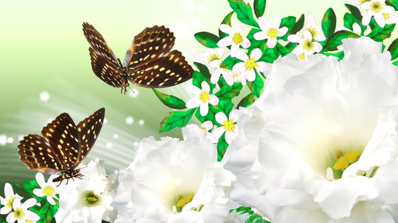 butterfly, glow, flower, white, smoke, stars, summer, flowers, spring, papillion, fluffy, green, bright, sparkles, 1080P, fantasy
