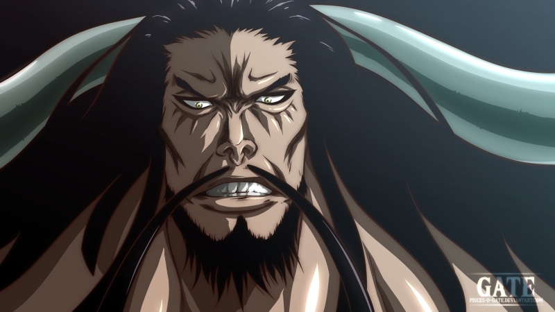 2K, Kaido (One Piece), One Piece