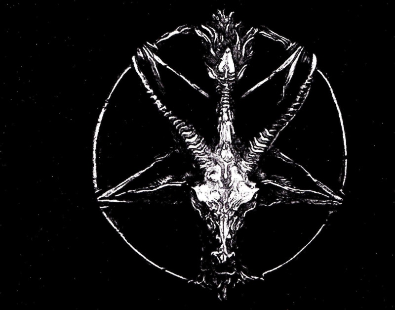 design, reflection, animal, pattern, illuminated, single object, 1080P, symmetry, still life, art and craft, no people, Dark, abstract, star shape, animal wildlife