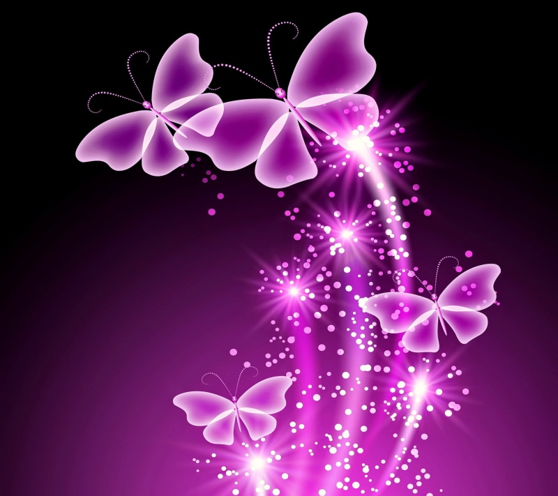 backgrounds, decoration, christmas, nature, event, brightly lit, no people, plant, bright, abstract, petal, pattern, purple, elegance, ornate