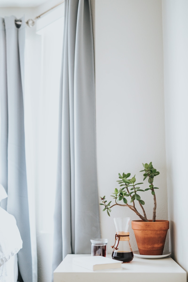flower pot, coffee lover, interior design, growth, pot, white color, jade plant, table, side, window light, green, natural light, coffee home, wooden, potted plant