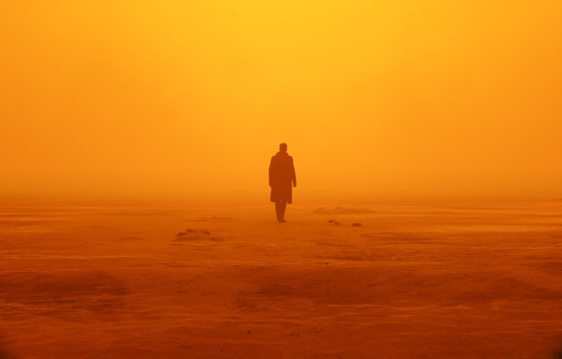 men, Ryan Gosling, Blade Runner 2049, actor, Officer K, movies, 1080P