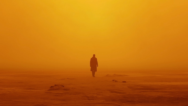 Officer K, standing, silhouette, man, HD, Blade Runner 2049, 2K, photo