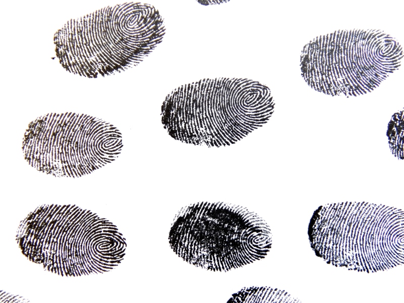 human body part, pattern, fingerprint, reprint, meeting, cut out, ink, individuality, detective work, white background, finger marks, finger grooves, contrasts