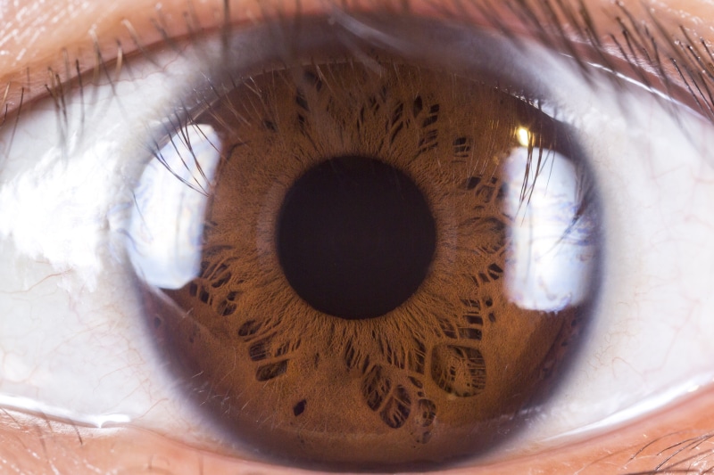ornament, one person, human, compass math, eyebrow, photo, eyeball, body part, eyelash, eyelid, hazel eyes, extreme close-up, looking at camera, electronics