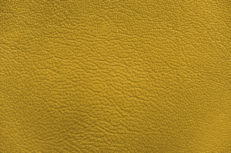 wrinkled, textile, cute, beauty in nature, luxury, day, abstract, soft, background, indoors, processing, animal body part, long lasting, old gold, reference