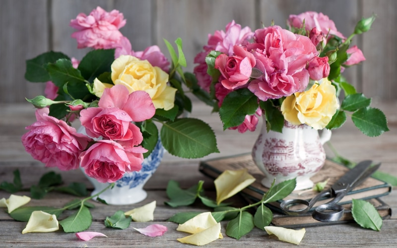 2K, Pink, vases, rose, Roses, Flowers, Vase, bouquet, Scissors, Book, Yellow
