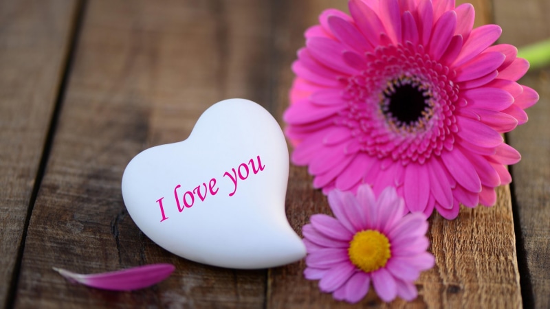 emotion, western script, romance, close-up, nature, table, flower, i love you, plant, text, still life, valentines day - holiday, indoors, heart shape