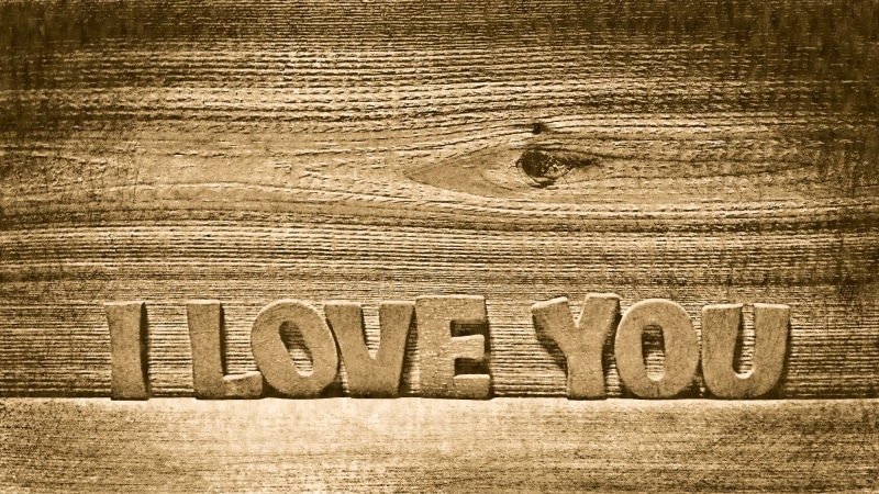 brown, wealth, dirt, friends, table, celebration, backgrounds, card, love, happiness, fun, no people, celebrating, word, expression, greeting, pattern