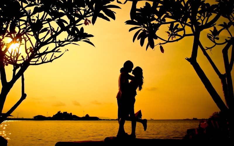 tree, woman, Love, leisure activity, real people, couple - relationship, bonding, sea, 720P, sunset, water, couple, two people, sky, hug, silhouette, beauty in nature