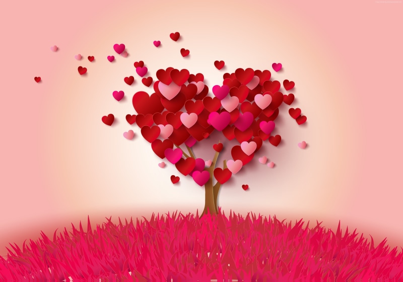 2K, love image, tree, heart, 4K