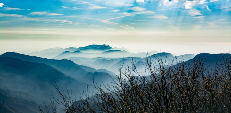 plant, day, cold temperature, winter, alishan, 5K, fog, sky, mountain, landscape, outdoors, non-urban scene, nature, tranquil scene, environment, ali mountain