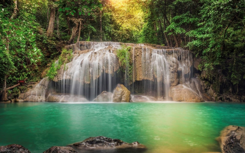 rainforest, rock, land, solid, rock - object, outdoors, plant, water, no people, flowing water, power in nature, long exposure, tree, full hd  nature  1920x1200