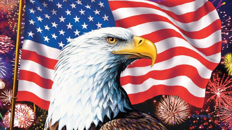 eagle, high, american, 1080P, definition, america, hd, flag, symbols, bald