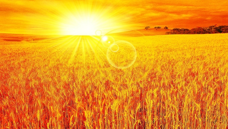 nature, leaves, fall, meadows, fire, phot, gold, high definition, photo, rising sun, nice, 1080P, clouds, photoshop
