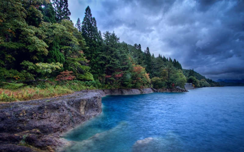 rainforest, cloud - sky, green color, tree, beauty in nature, idyllic, water, tranquility, river, non-urban scene, forest, 1080P, plant, no people, day