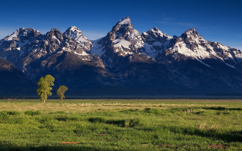 high res  nature download 1920x1200, 1080P