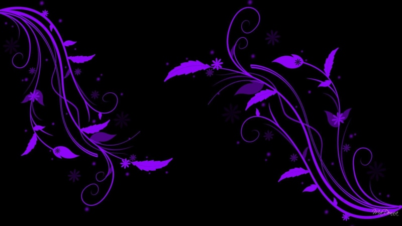 widescreen, summer, 1080P, flowers, black, 3d and abstract, vines, abstract, spring, purple