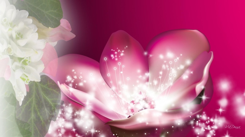 1080P, magical, bright, light, stars, pink, 3d and abstract, spring, summer, sparkle, flower, glow, illustration