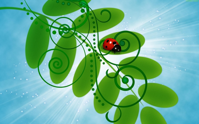 bright, bug, blue, 3d and abstract, minimal, lil, ladybug, leaf, leaves, green, bugger, insects, lady, 2K, bugs, black, red, spring