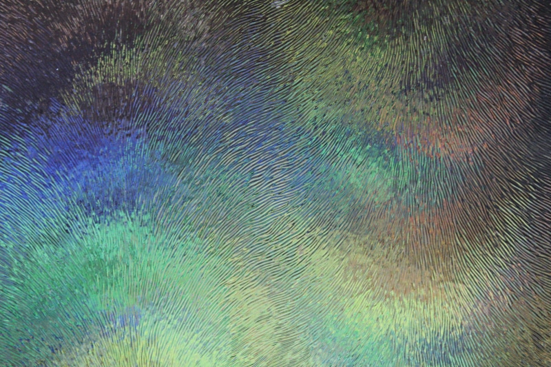 blue, 5K, animal themes, multi Colored, colorful abstract background, art, outdoors, no people, pattern, Frosted Glass, backdrop, animal wildlife, beauty in nature