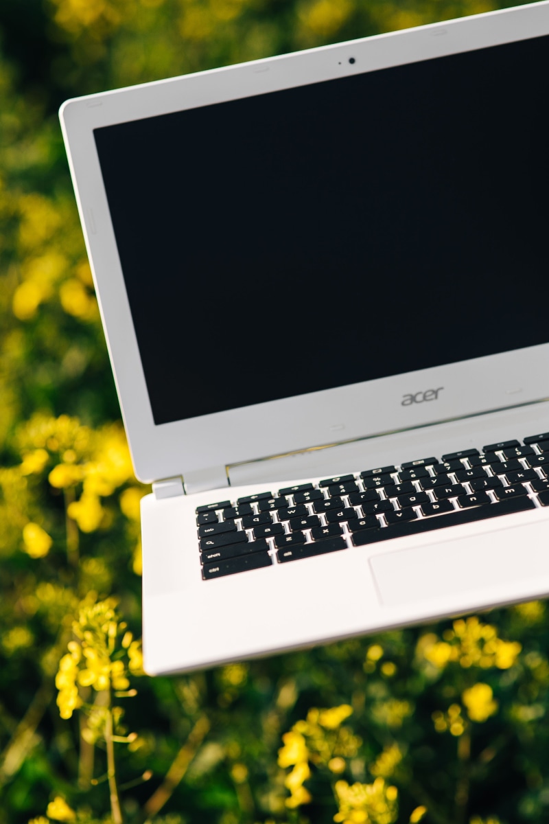 backgrounds, outdoors, phone, white laptop, grass, rapeseed, 4K, photography themes, flower, tech, connection, spring, computer Keyboard, plant, rapes