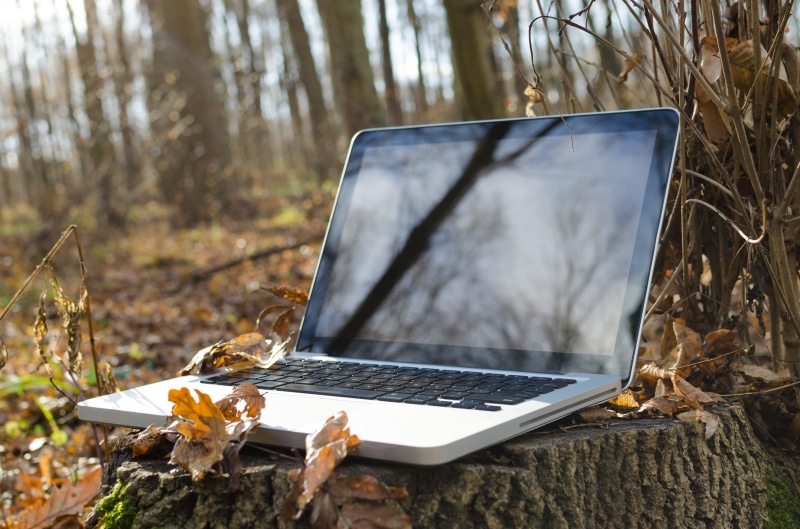 object, wifi, Notebook, portable information device, Computer, web, saving, black, natural, plant, woodland, office, land, open, mobility, network, flowers
