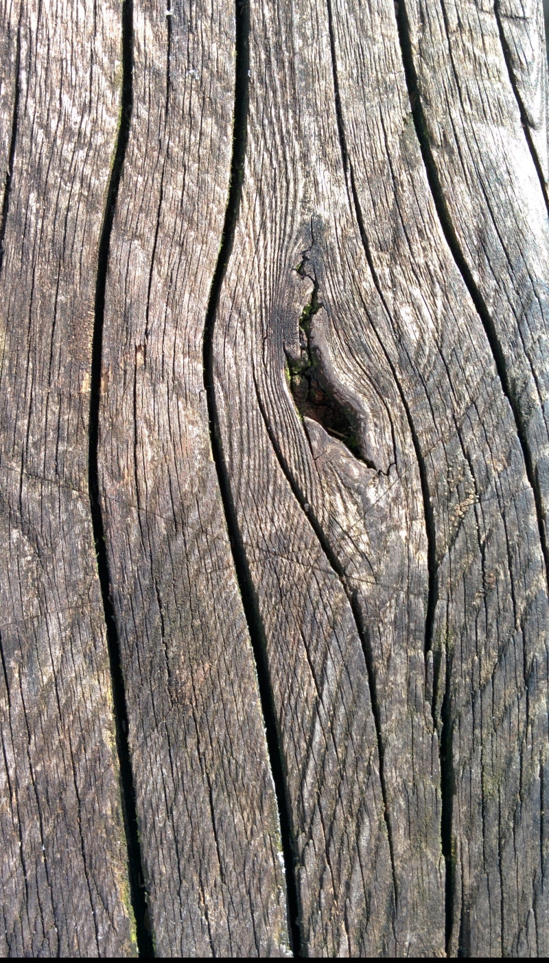 board, trunk, rough, texture, textured, 2K, structure, bark, panel, carpentry, grain, tree, tree trunk, nature, dark, grunge, weathered, hardwood, wall