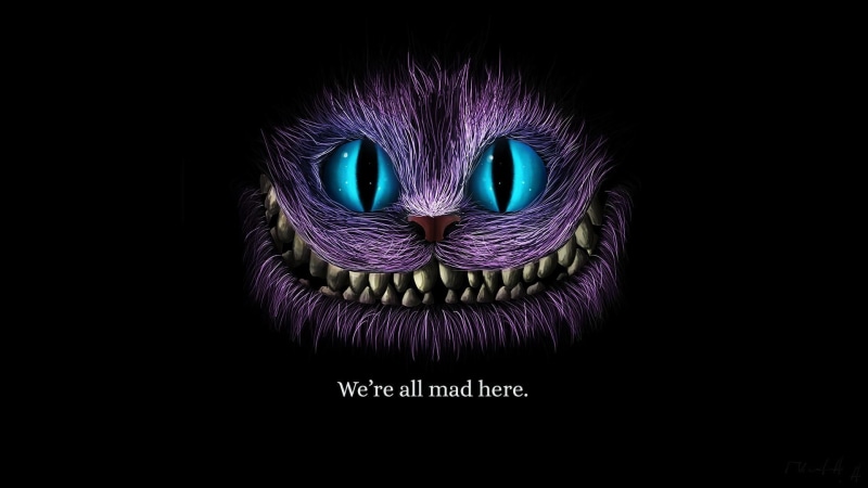 indoors, dark, Alice, women, black background, creativity, purple, copy space, human body part, mystery, body part, cat, smiling, human face, Alice in Wonderland