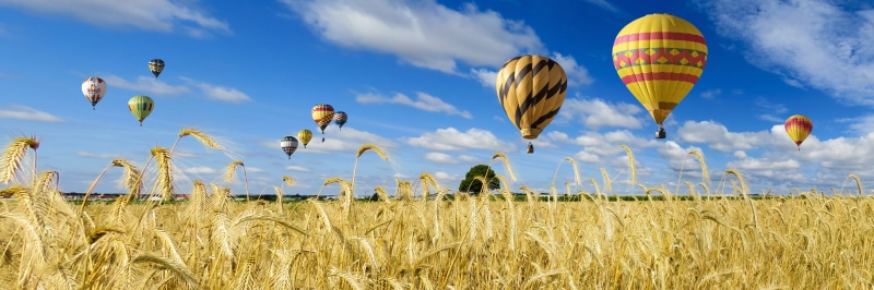 crop, wheat field, drive, wheat, hot, flying, balloon, landscape, composing, cereal plant, nature, day, holiday, clouds, header, transportation, hot air balloon