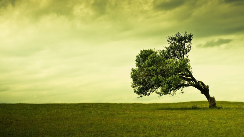 hill, cloud - Sky, trees, beauty In Nature, blue, horizon, growth, tranquil Scene, sun, green Color, cloudy, meadow, summer, tranquility, scenics - nature
