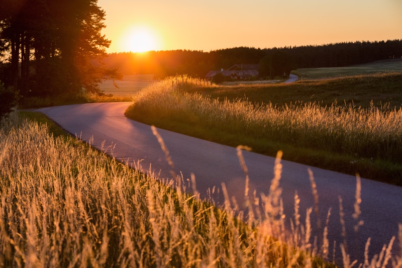 Scania, Warm, Everöd, Grass, Skåne län, outdoor, Sweden, Calm, photo, Curve, field, concrete road, nature, outdoors, rural Scene, Farm, concrete, Sun set