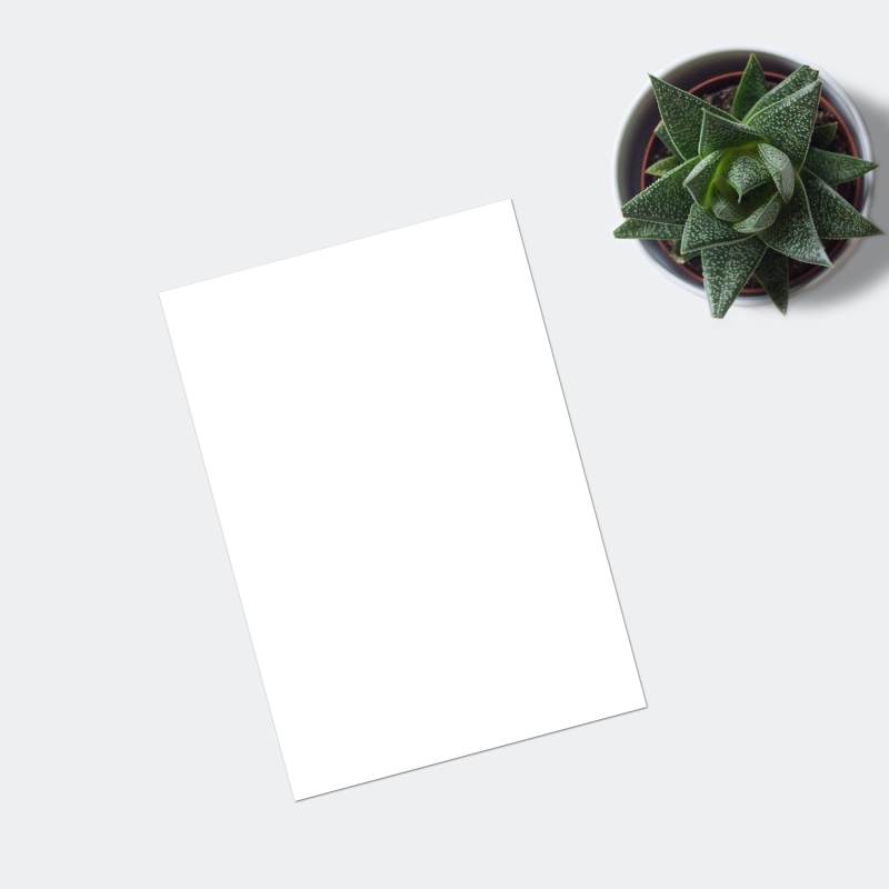 flatlay, business, painting, shop, indoors, nature, blog, high angle view, mockup, instagram, directly above, ecommerce, white sheet, plant, still life