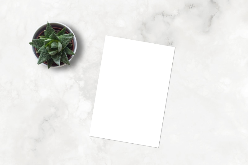 networking, drawing, 4K, blank, business, marketing, indoors, directly above, green color, mockup, picture, layout, food, copy space, plant part, painting