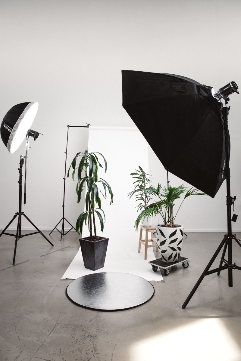 seat, green, plant, table, photo gear, profoto b1, 5K, softboxes, tripod, three, softbox, photography, wall - building feature, lighting, paper background