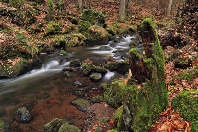 solid, foliage, plant, freshness, blurred motion, rock, day, the brook, nature, brook, bottom of the stream, pebbles, no people, motion, river, growth