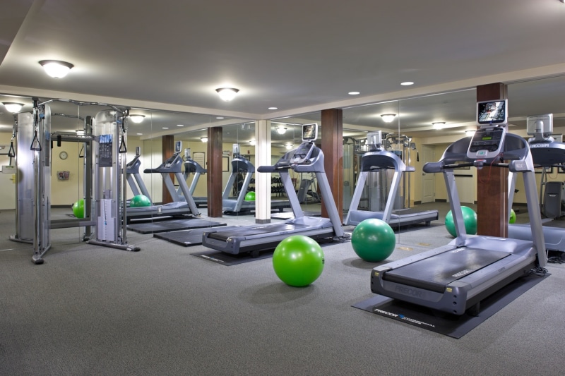 sports equipment, weight training, health club, healthy lifestyle, lifestyles, activity, ceiling, fitness ball, gym, weights, 1080P, exercise equipment