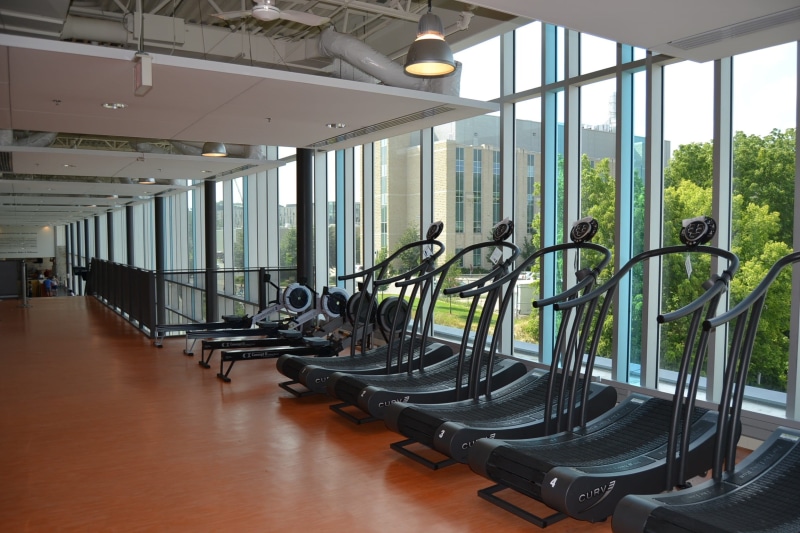 flooring, no people, day, bicycle, empty, gym, window, indoors, ceiling, built structure, black, in a row, architectural column, treamills, sunlight, business