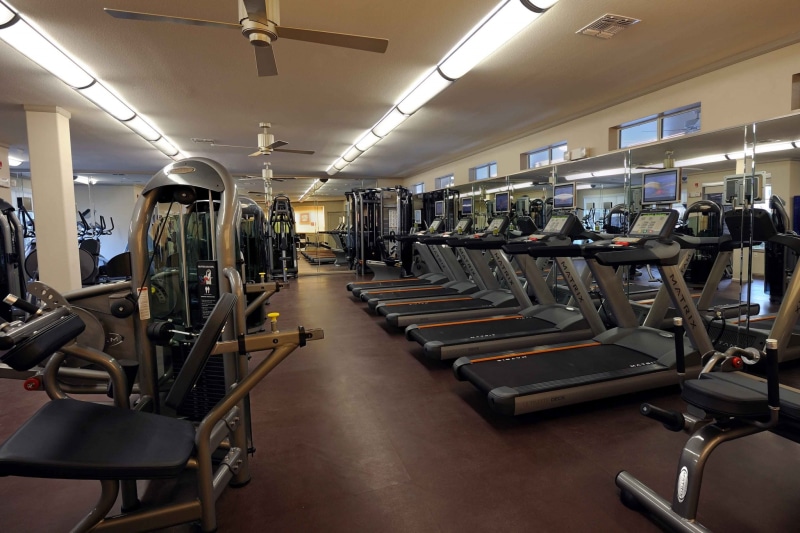 absence, equipment, exercise equipment, health club, sports equipment, healthy lifestyle, indoors, sport, treadmill, in a row, sports training, exercise machine