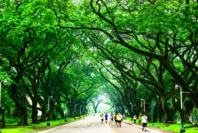 philippines, green, direction, men, trees, jog, green color, plant, treelined, tree, women, road, tree canopy, day, the way forward, nature, diminishing perspective