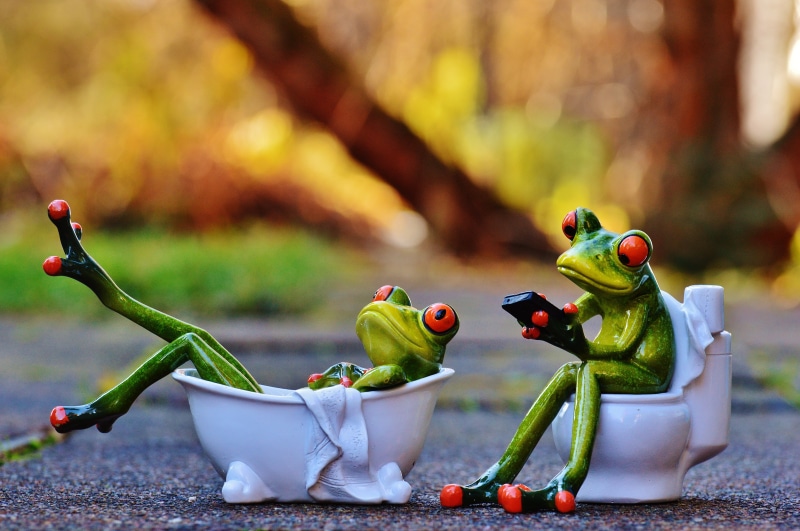 outdoors, food, leaf, joke, sweet, autumn, food and drink, sitting, close-up, creativity, 5K, representation, funny, frogs, animal, bathtub, nature, green