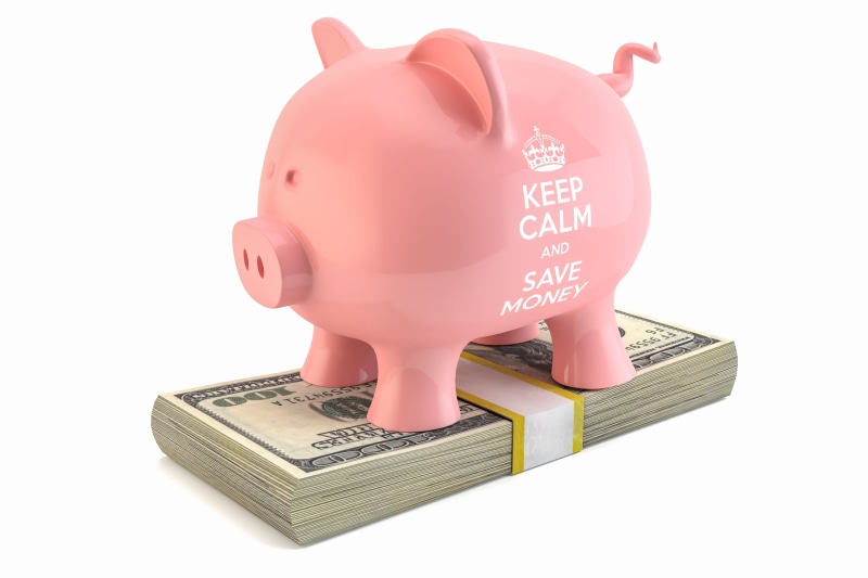 finance, wealth, investment, savings, od, bank, money, loan, pig, bringing home the bacon, cash, 4K, coin, earnings, corporate business, rich, financial advisor