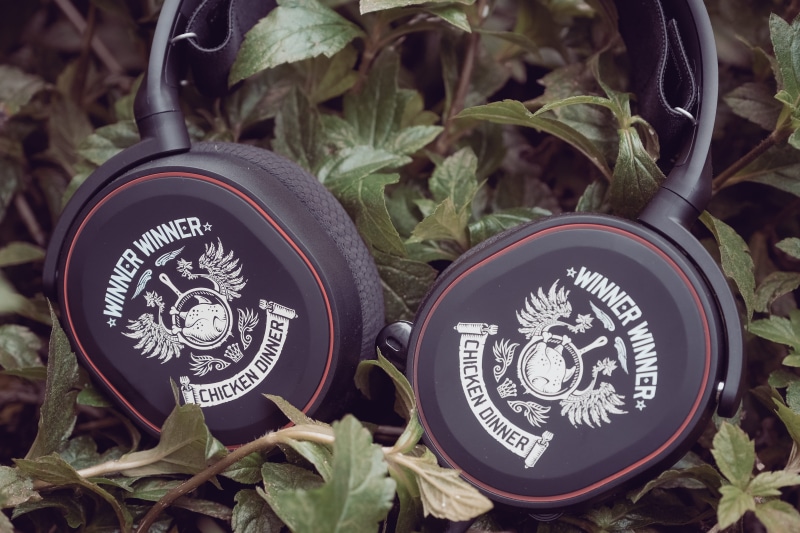 day, nature, gaming headphones, close-up, gaming headset, steelseries, high angle view, metal, plant, potted plant, guidance, playerunknowns battlegrounds