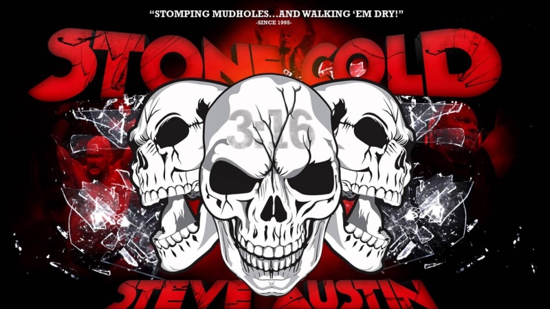 cold, wwe wrestling, 1920x1080, steve austin, austin, quotes, steve, 1080P, quote, stone, poster