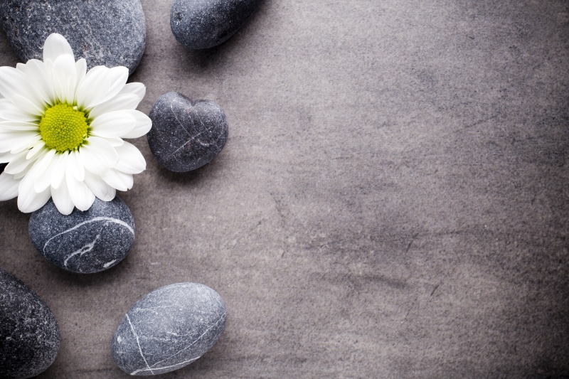 flower, 5K, spa, Daisy, zen, stones