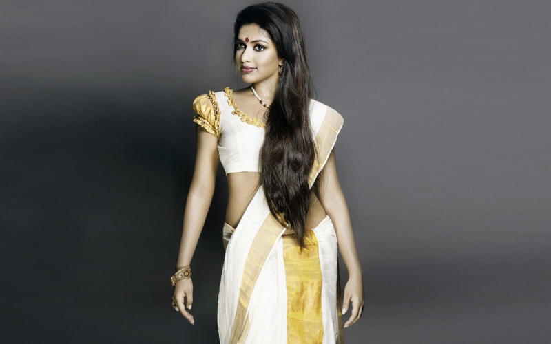 amala, actress, paul, saree, 1080P, bollywood, indian