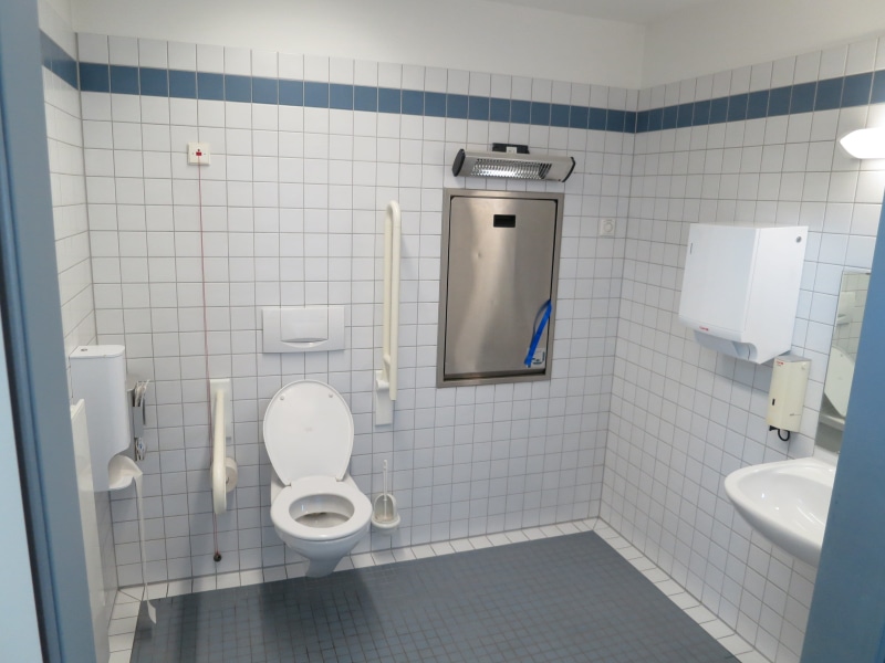 disabled, flush toilet, tile, flush, tiled floor, white color, toilet bowl, toilet, bad, ceramic, absence, public building, domestic bathroom, white, near