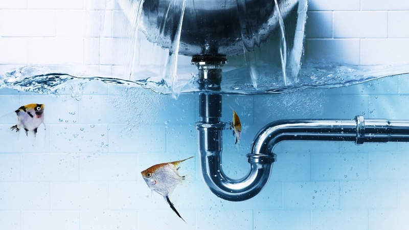 bathroom, technology, fishes, three, water drops, underwater, cyan, bubbles, shower, waves, nature, connection, 1080P, photo manipulation, day, blue, splashes