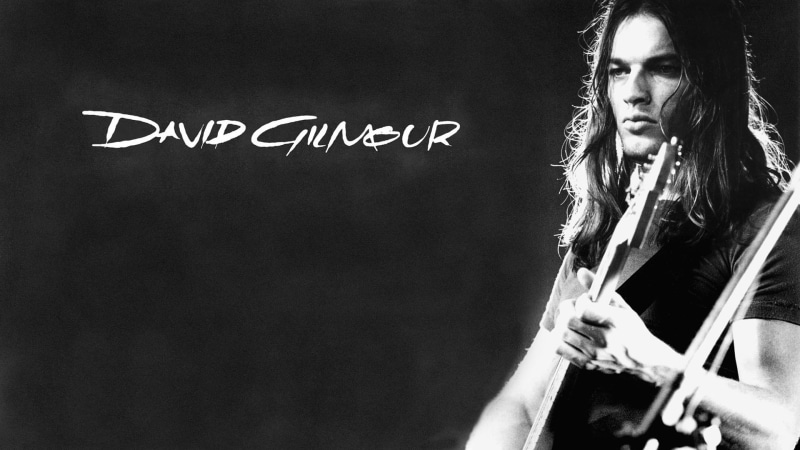 floyd, david, gilmour, pink, 1080P