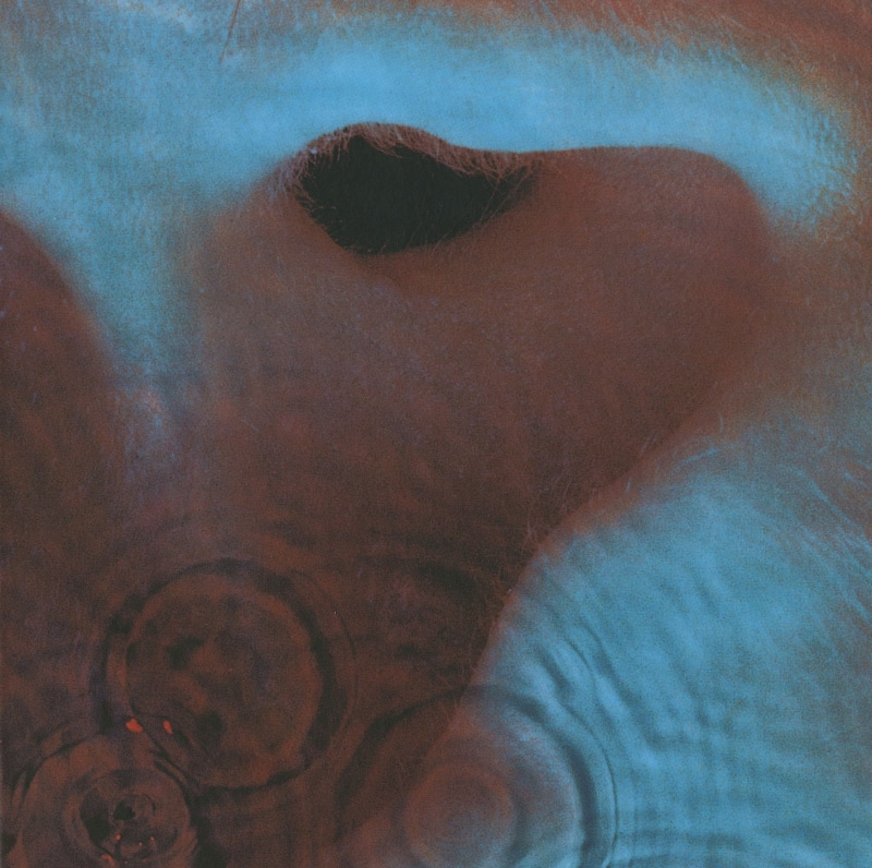david gilmour, sleeve, Pink Floyd, Echoes, Rick Wright, meddle, 2K, Nick Mason, David Gilmore, roger waters, music
